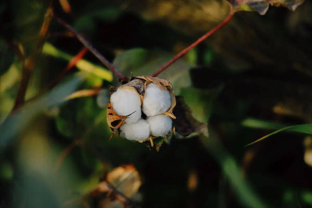 4d1df3d488fa00cc6f7923e060d508c3.jpeg 4d1df3d488fa00cc6f7923e060d508c3.jpeg