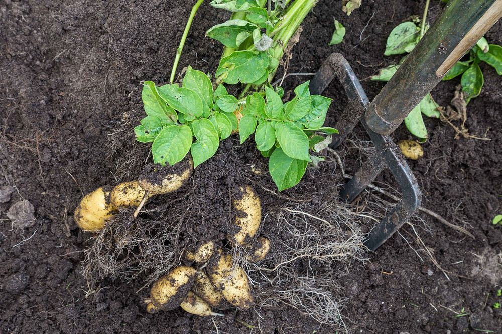 366edbb07168ab50e782185ad98c064f.jpeg 366edbb07168ab50e782185ad98c064f.jpeg