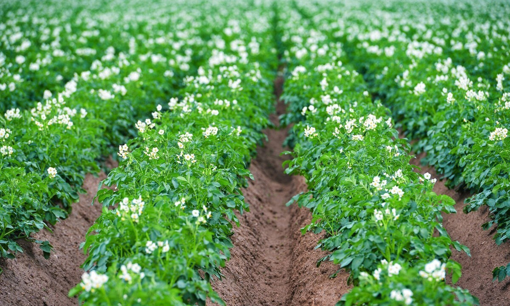 75c076bb34873e41249aba628ea46c5b.jpeg 75c076bb34873e41249aba628ea46c5b.jpeg