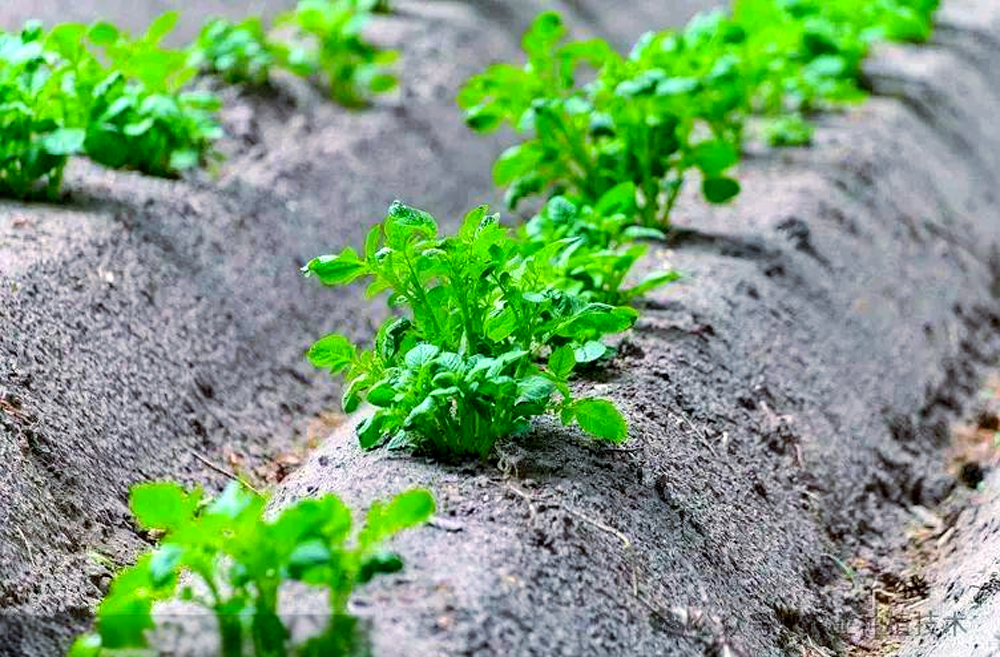 3fecb58aba41236ba4805b559e2b17d6.png 3fecb58aba41236ba4805b559e2b17d6.png