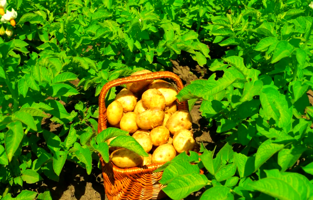 2b7b4988758b90a1ee495c5eba0577f7.png 2b7b4988758b90a1ee495c5eba0577f7.png